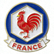 法国国家足球队徽章
